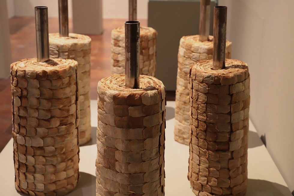 Tempus Fugit. 2010. Ángel García Roldán