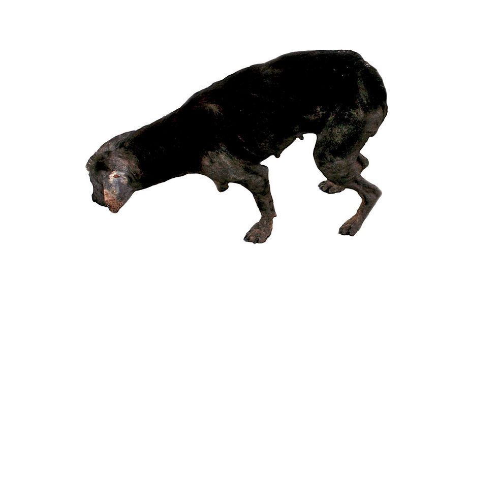 Sarna con gusto no pica #5