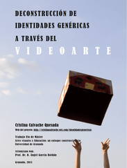 Deconstrucción de imágenes genéricas a través del Videoarte