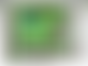 Comments for Trailsedge East Park