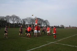 Rugby- Whitchurch vs Newcastle