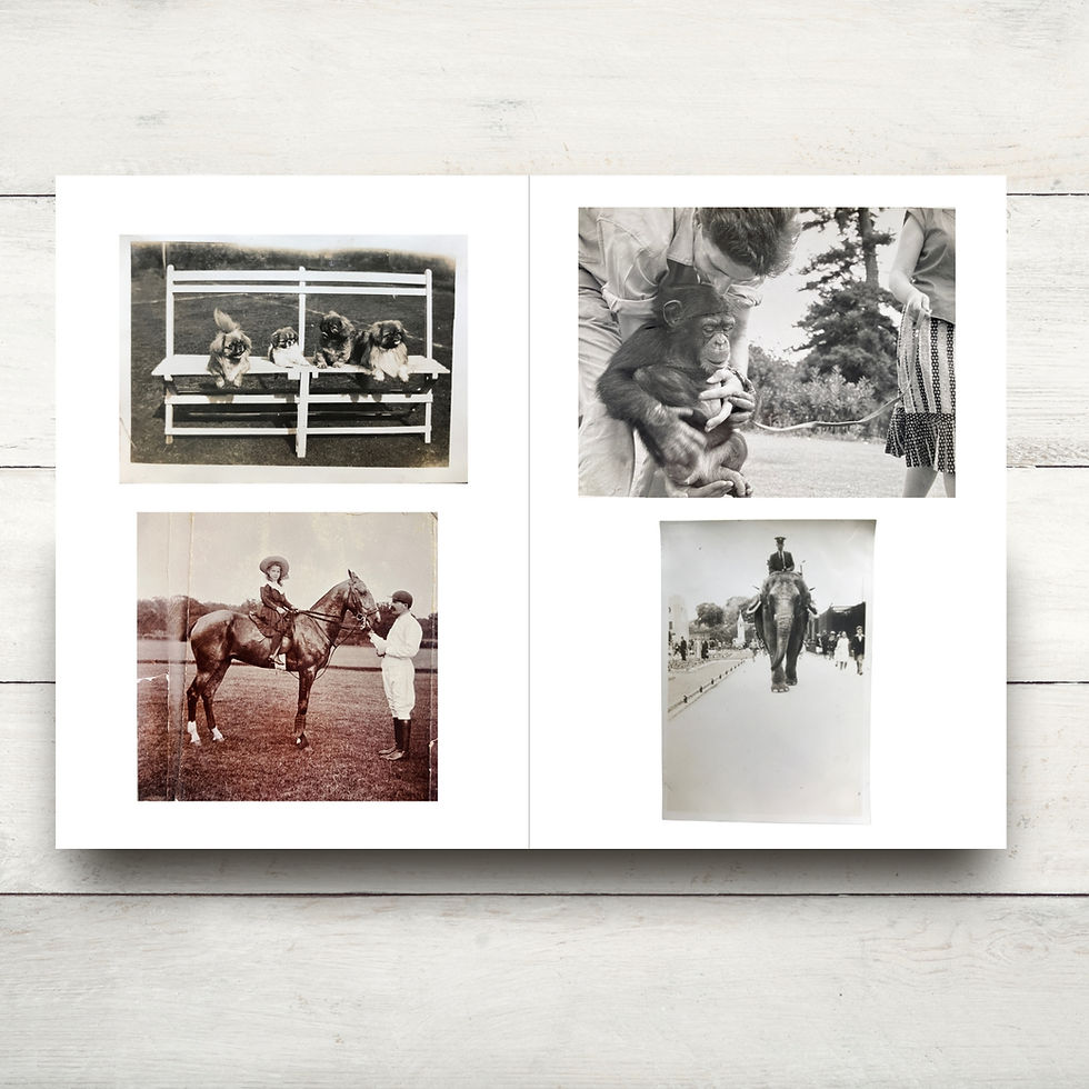 Thumbnail: Downloadable BUNDLE 5 Artful Memories Photo Albums
