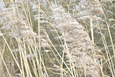 foto 23-02-2021 14 00 13.jpg