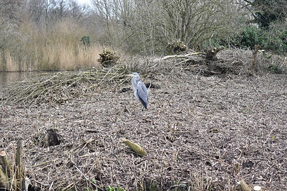 foto 23-02-2021 13 52 49.jpg