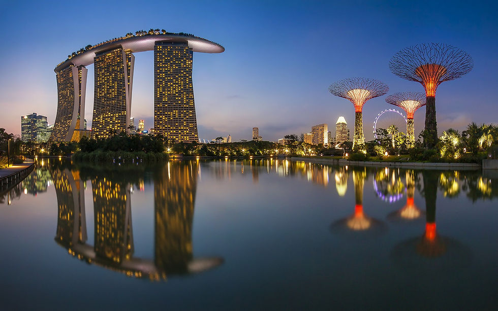 Singapore città perfetta?