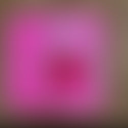 ברכה ליום האהבה או יום המשפחה