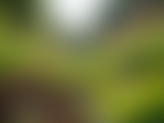 The Importance of Sustainable Living in Today's World