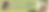 Andy Big Question Preorder Banner.png