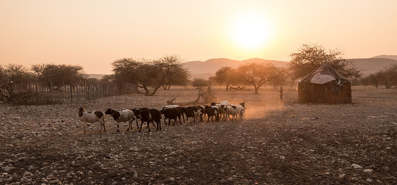 Goat Project Courage of Hope Foundation