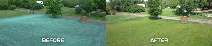 Hydro Seeding