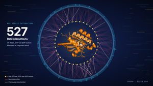 Tabitha Peterson maps hundreds of new Rab GTPase interactions