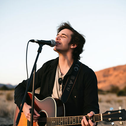 alt-rock singer song writer man.jpg