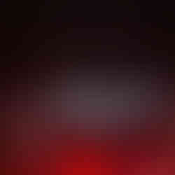 Winter Wonderland at the Northland Arboretum