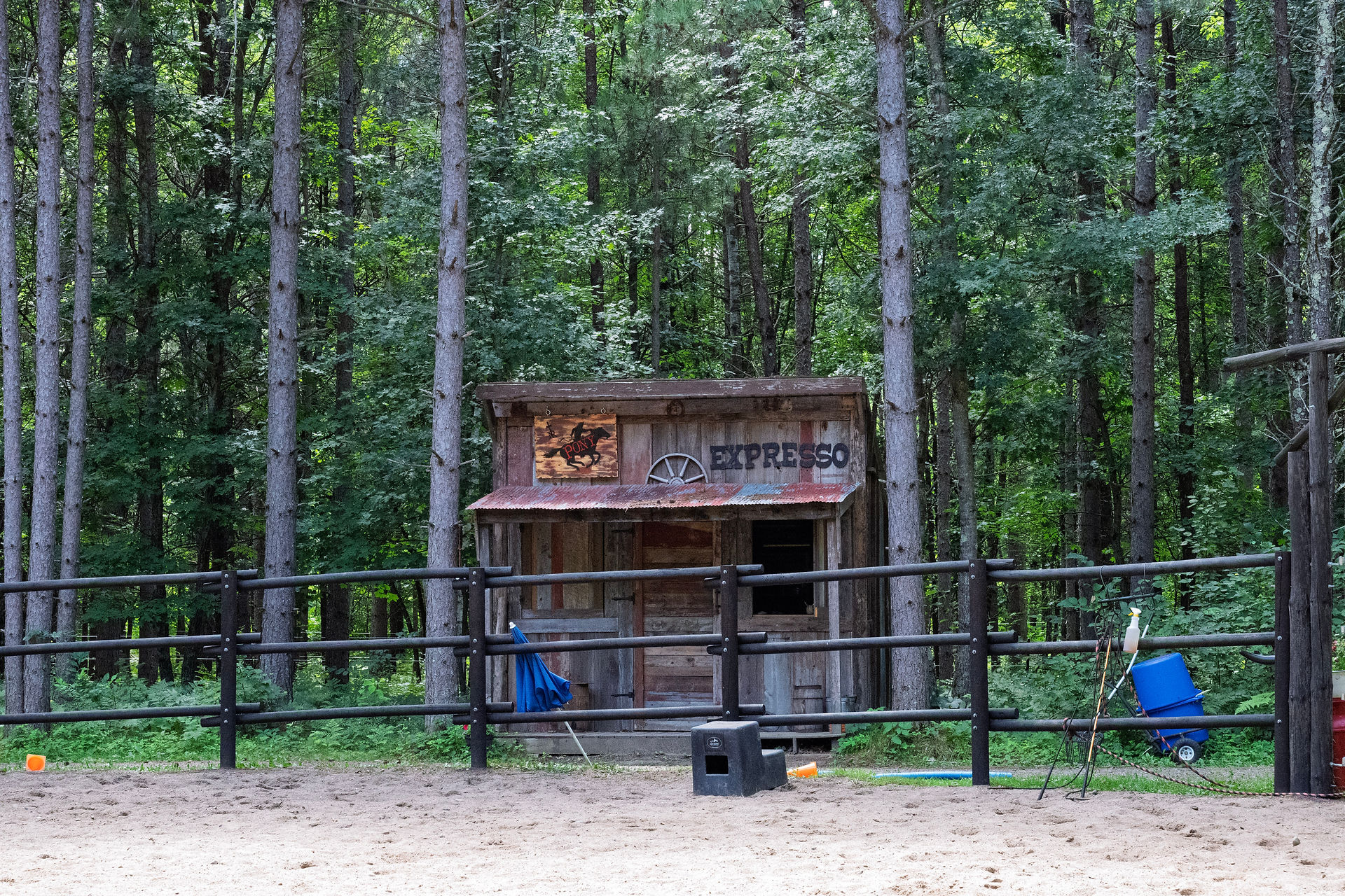 True North Ranch, Ministries | Minnesota