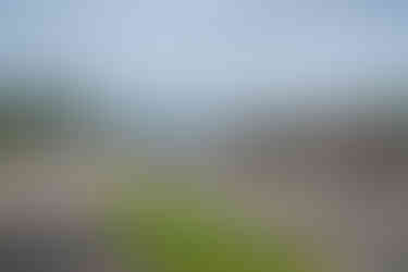 Nisswa Crazy Days 2025