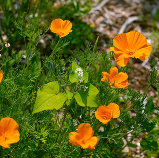 Double T Acres in Lake Shore, MN