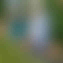 Double T Acres in Lake Shore, MN