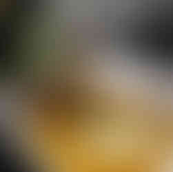 A behind-the-scenes look at Grand View Lodge’s de’Vine Heritage Wine Dinner—five courses, curated pairings, and a Lakes Area night done right.