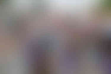 Nisswa Turtle Races 2025