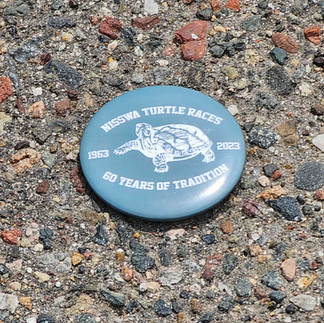 Nisswa Turtle Races | Nisswa, MN