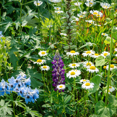 Double T Acres in Lake Shore, MN