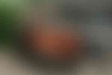 Classic cars and crowd scenes from the 7th Annual A&W Nisswa Cruisin' Night on July 5, 2025, in Nisswa, MN.