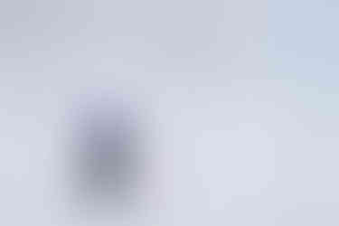 Alpine action from the Brainerd Warrior Alpine Holiday Invite at Mount Ski Gull