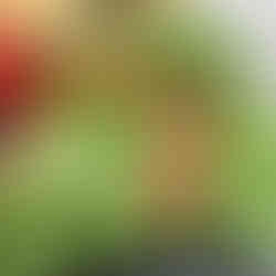 Nisswa Farmer's Market