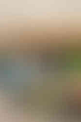 Classic cars and crowd scenes from the 7th Annual A&W Nisswa Cruisin' Night on July 5, 2025, in Nisswa, MN.