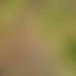 Double T Acres in Lake Shore, MN