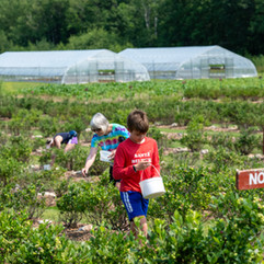 Double T Acres in Lake Shore, MN