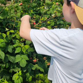 Double T Acres in Lake Shore, MN