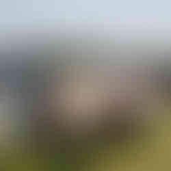 Classic Larson Boat Show | Nisswa, MN