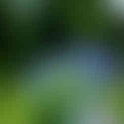 Double T Acres in Lake Shore, MN