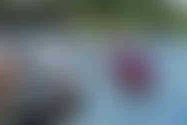 2025 Moonlite Bay Cardboard Boat Races