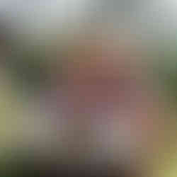 Classic Larson Boat Show | Nisswa, MN