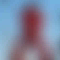 Elvis | Zorbaz | Nisswa, MN | Gull Lake