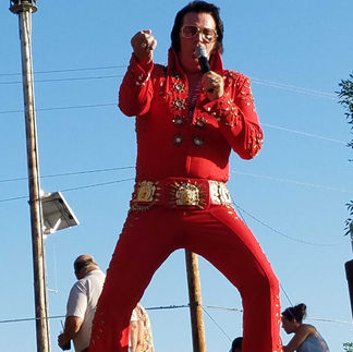 Elvis | Zorbaz | Nisswa, MN | Gull Lake