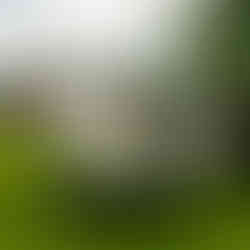 Vintage Larson and Crestliner boats on display at the 2025 Classic Larson Boat Show in Nisswa, Minnesota