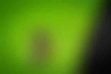 Classic cars and crowd scenes from the 7th Annual A&W Nisswa Cruisin' Night on July 5, 2025, in Nisswa, MN.