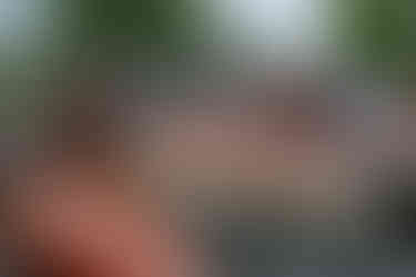 Scenes from the 2025 Gull Lake Classic at Bar Harbor Supper Club — a celebration of craftsmanship, history, and the timeless beauty of race boats on Gull Lake.