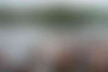 Scenes from the 2025 Gull Lake Classic at Bar Harbor Supper Club — a celebration of craftsmanship, history, and the timeless beauty of race boats on Gull Lake.