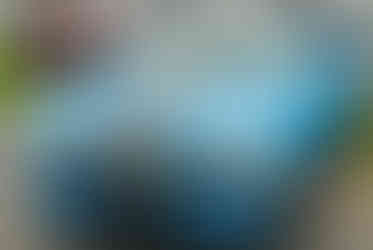 Classic cars and crowd scenes from the 7th Annual A&W Nisswa Cruisin' Night on July 5, 2025, in Nisswa, MN.