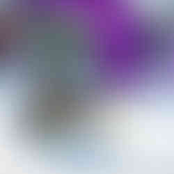 Snowmobile racing action at MESC TripleFest 2026 at Breezy Point Resort in the Brainerd Lakes Area.