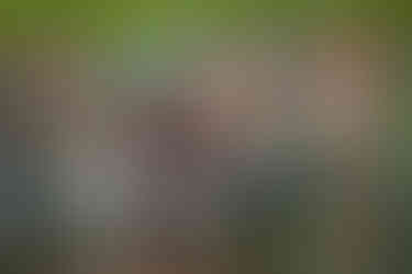 2025 Moonlite Bay Cardboard Boat Races