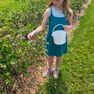 Double T Acres in Lake Shore, MN