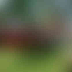 Classic Larson Boat Show | Nisswa, MN