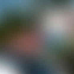 Classic Larson Boat Show | Nisswa, MN