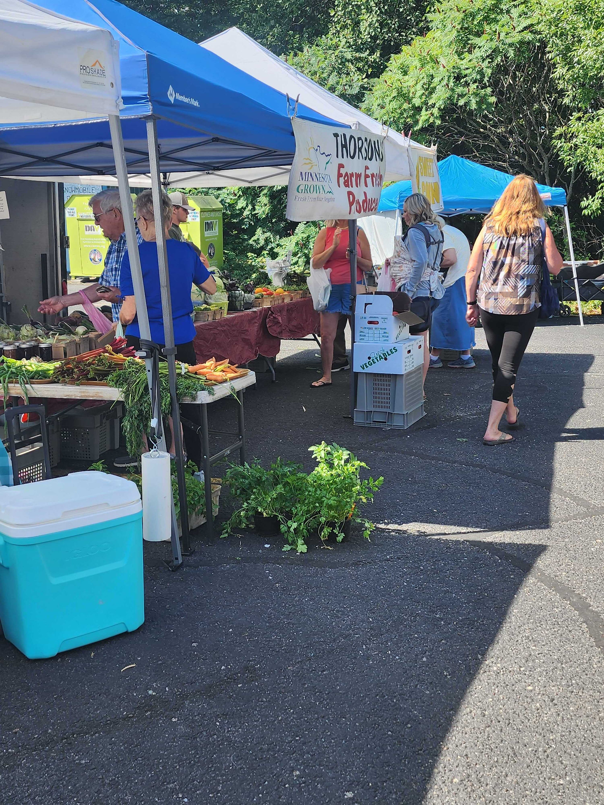 Farmer Market Near Nisswa, Baxter, Brainerd, Crosby, Pine River, Minnesota