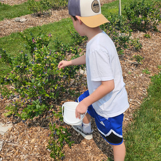 Double T Acres in Lake Shore, MN
